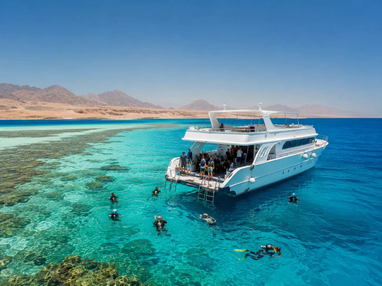Certified diver exploring a Red Sea reef with Dive Red Sea