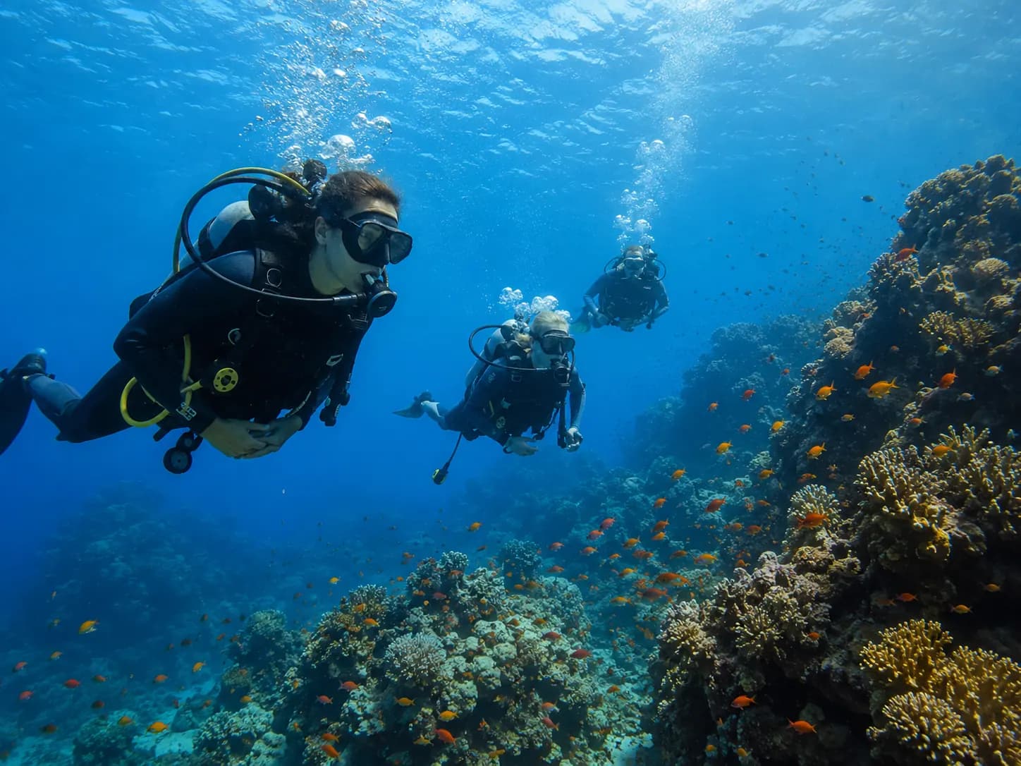 Certified diver exploring a Red Sea reef with Dive Red Sea