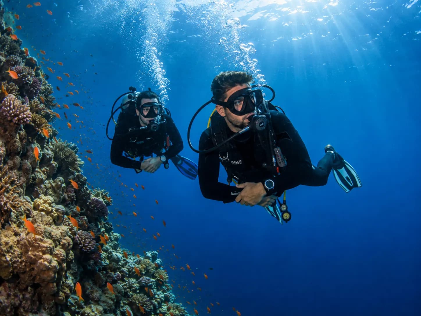 Certified diver exploring a Red Sea reef with Dive Red Sea