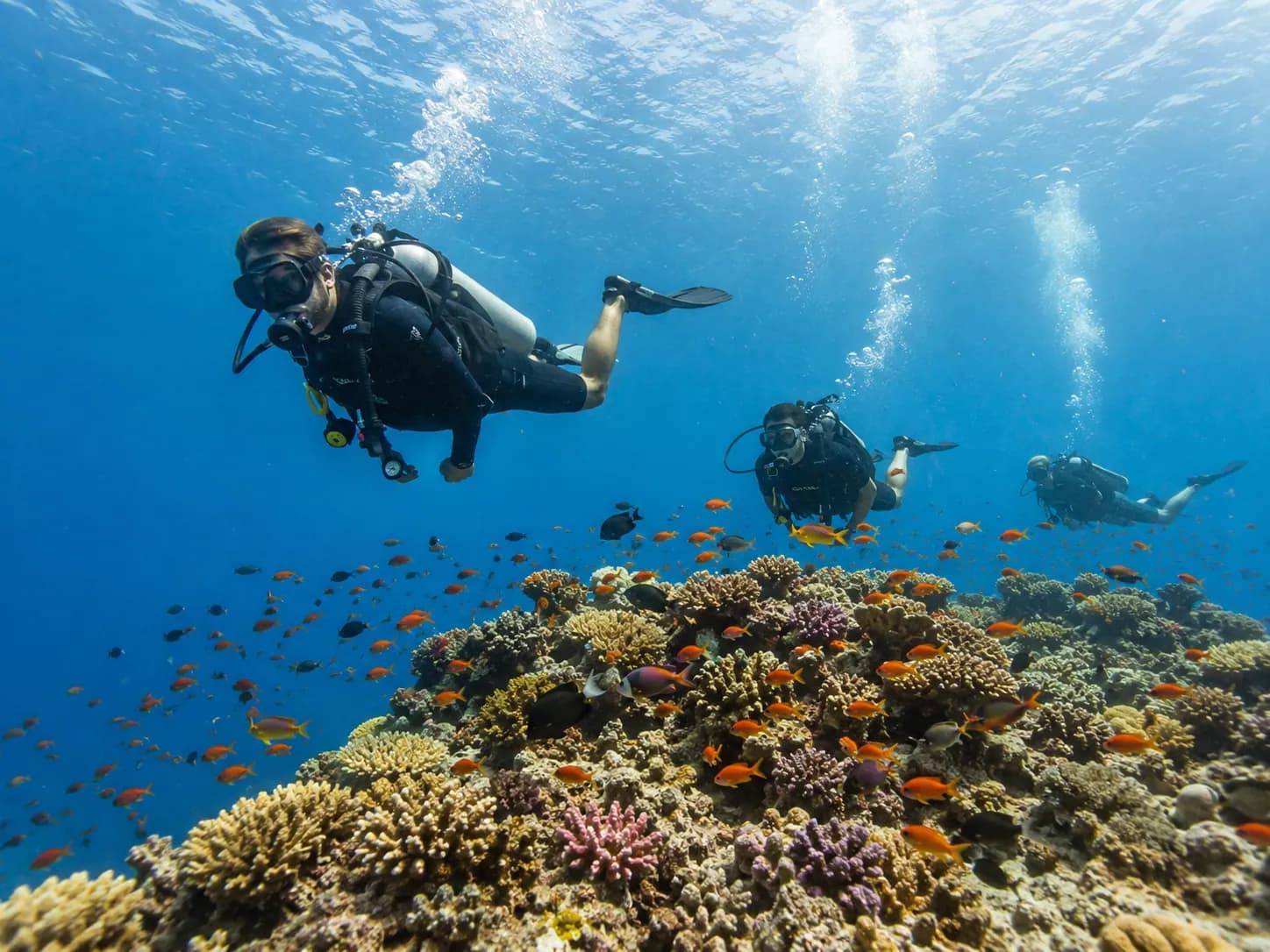Buceador certificado explorando un arrecife del mar Rojo con Dive Red Sea