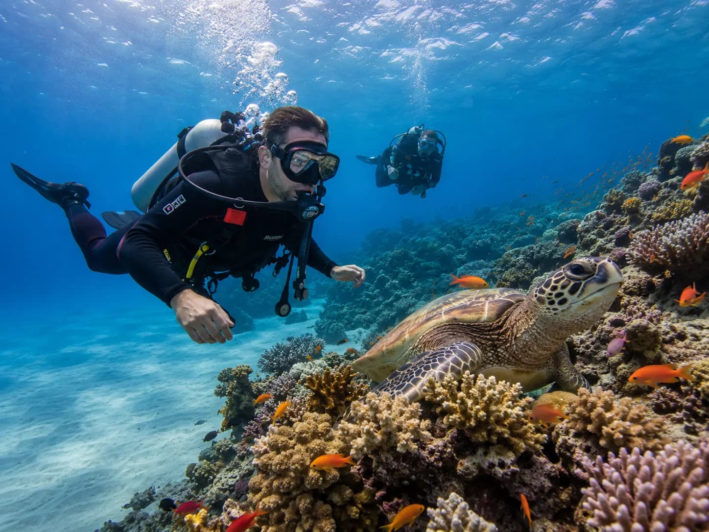 Certified diver exploring a Red Sea reef with Dive Red Sea