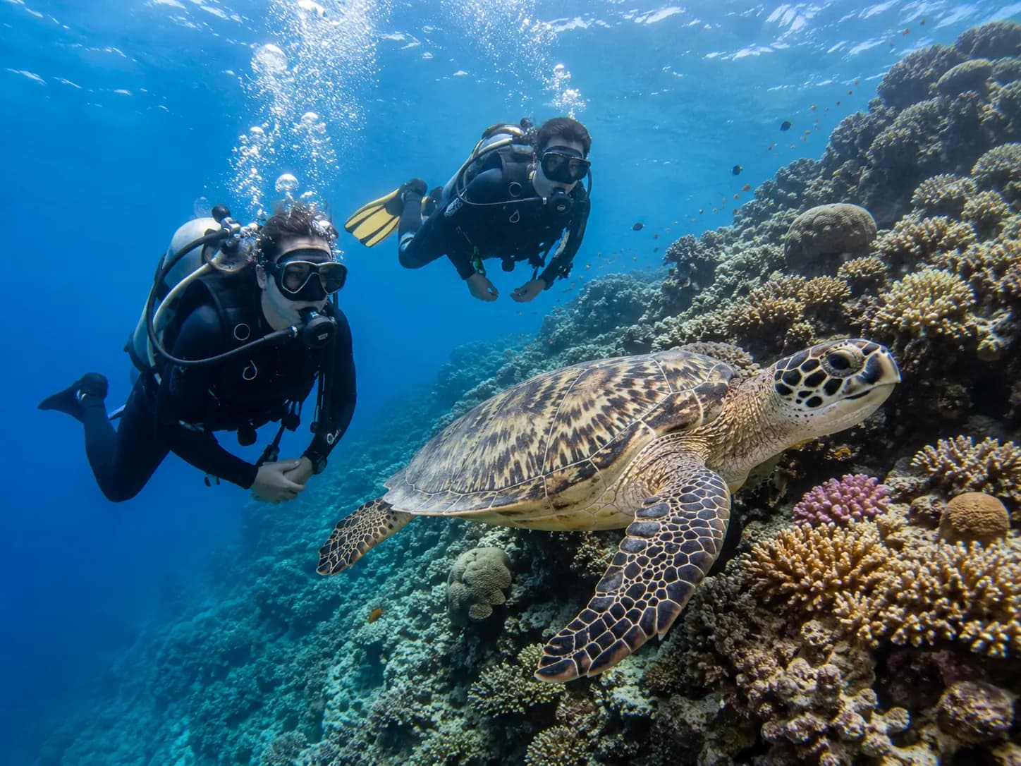 Shore diving on the house reef in Makadi Bay
