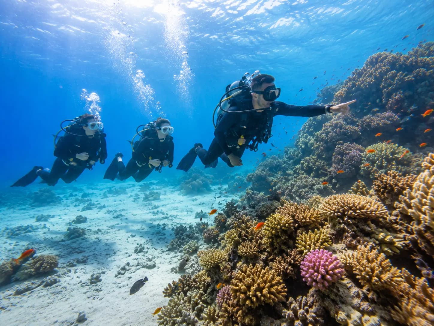 Buceo desde costa en el arrecife de casa de Makadi Bay