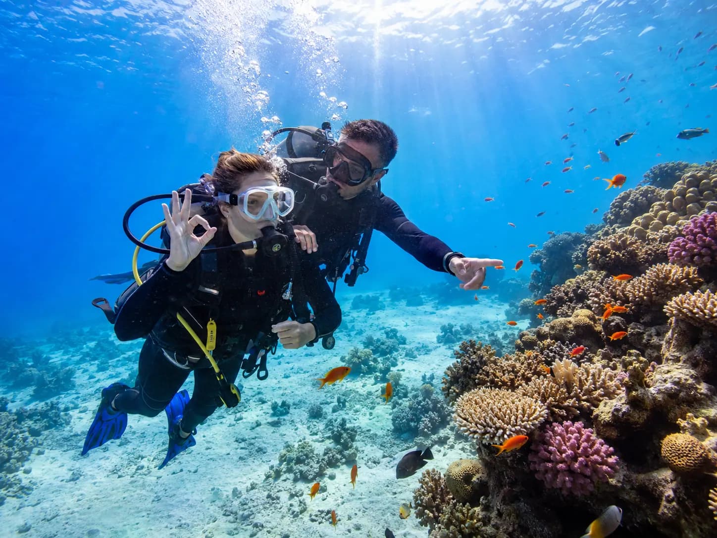 Shore diving on the house reef in Makadi Bay
