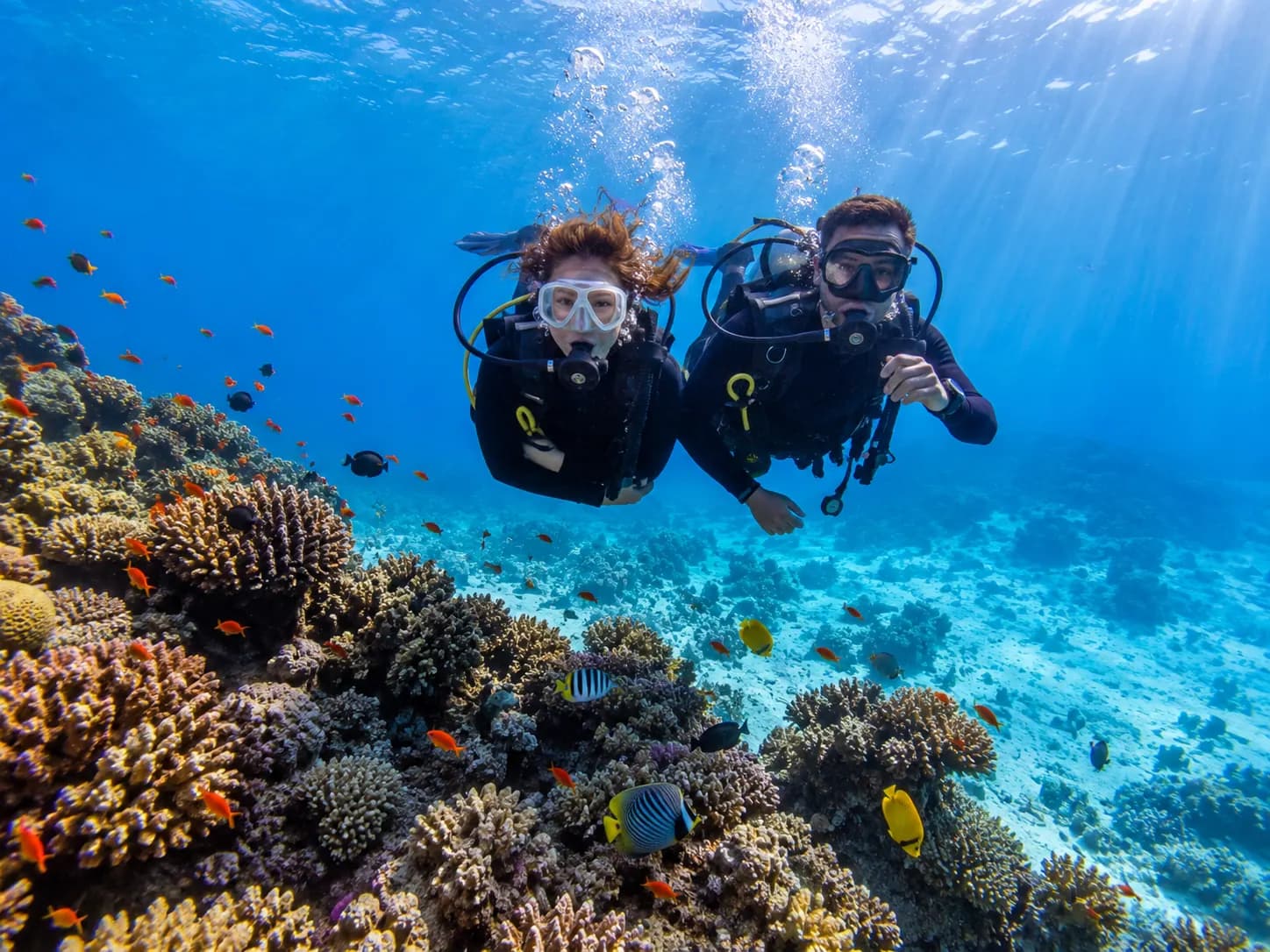 Shore diving on the house reef in Makadi Bay