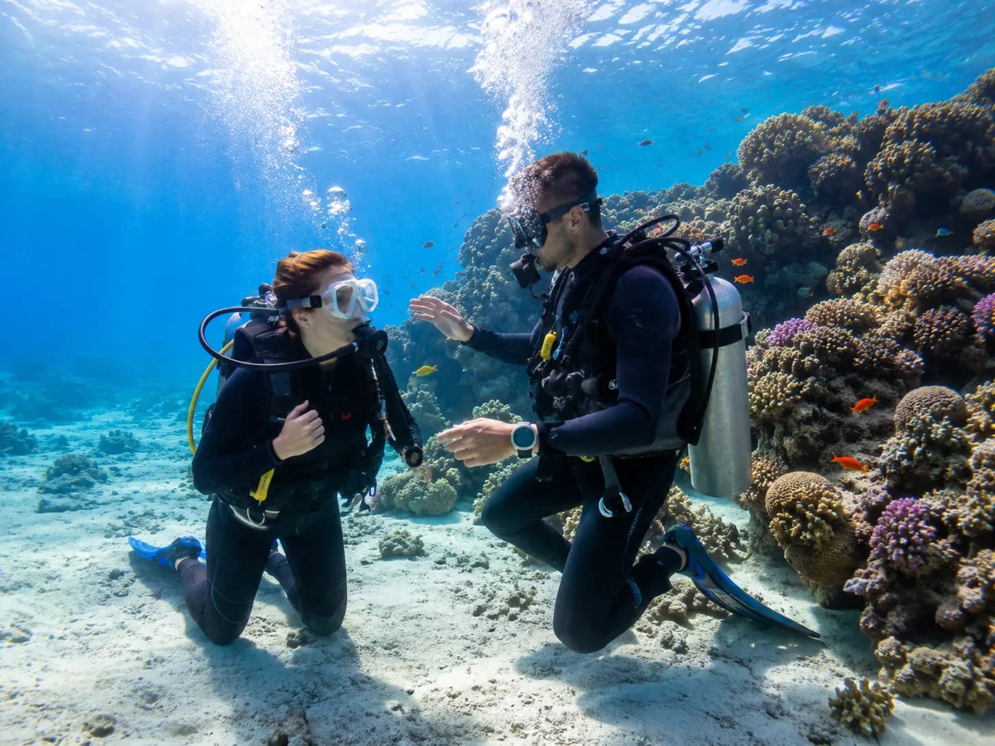 Sharm El Arab, Our house reef, off the hotel beach in the Red Sea