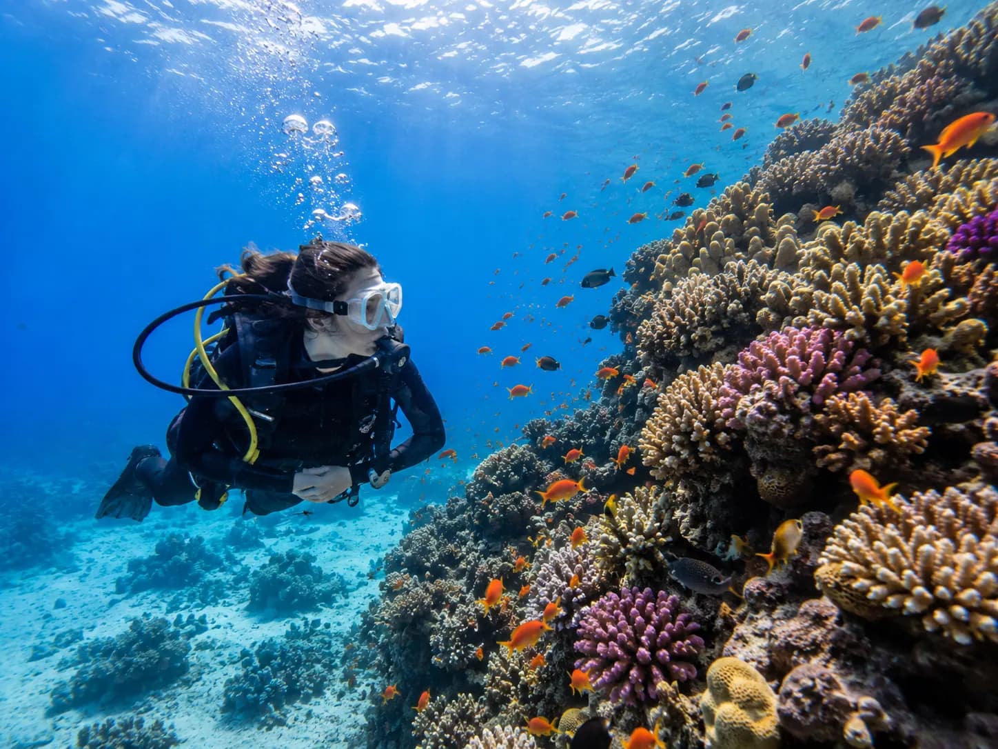 Shore diving on the house reef in Makadi Bay