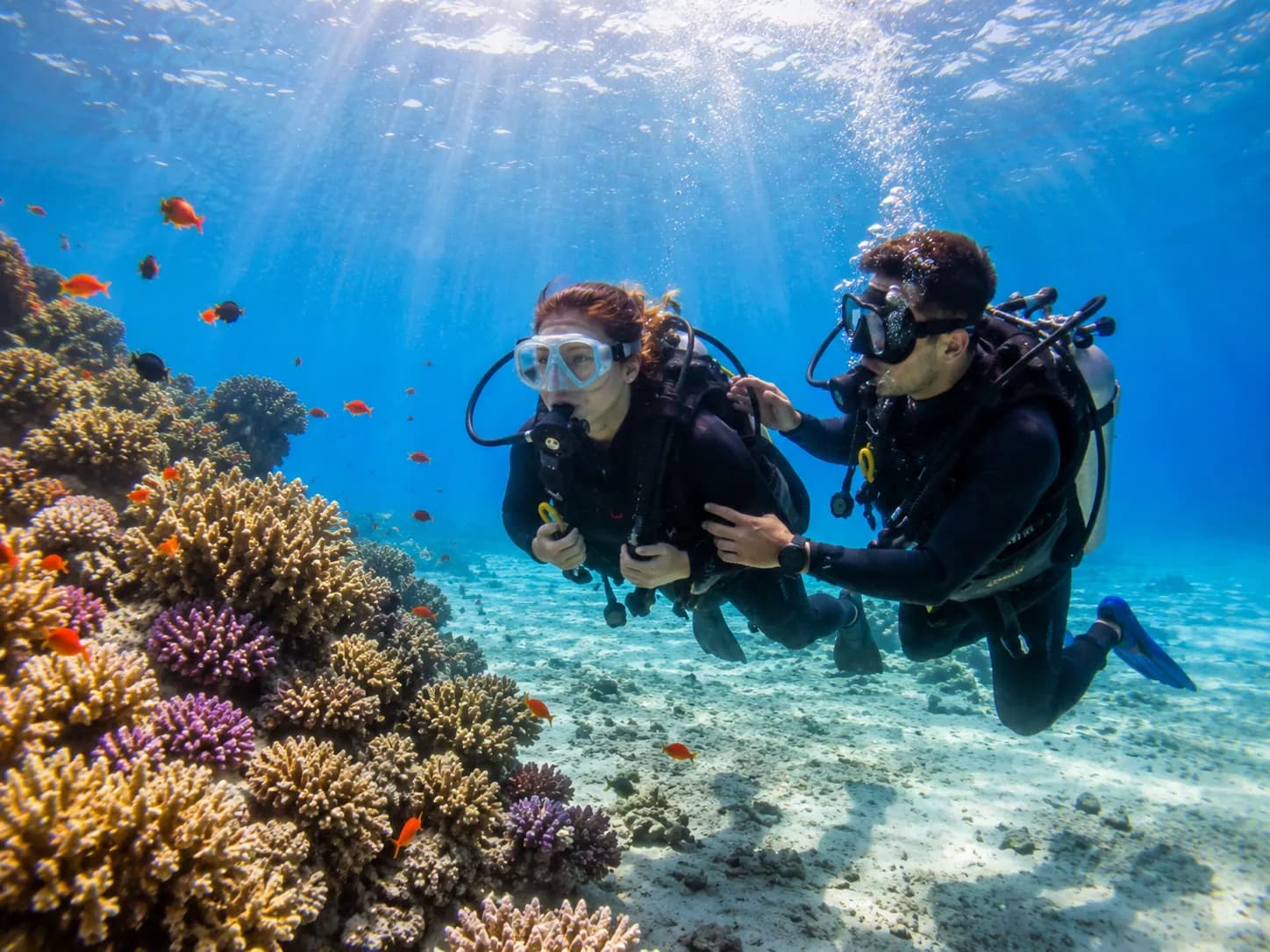 Shore diving on the house reef in Makadi Bay