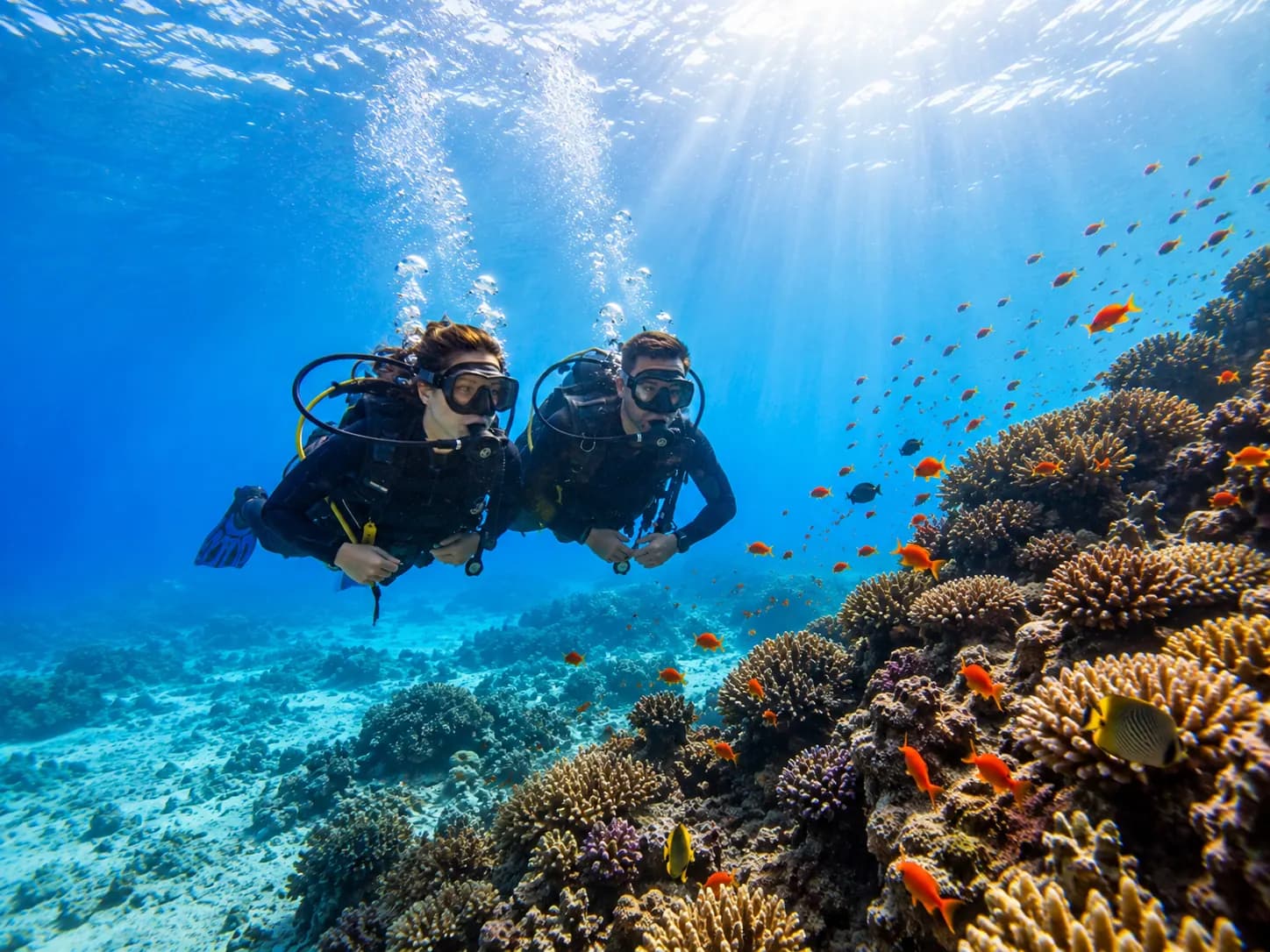 Shore diving on the house reef in Makadi Bay